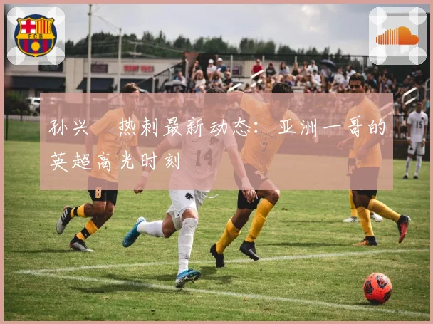 孙兴慜热刺最新动态:亚洲一哥的英超高光时刻