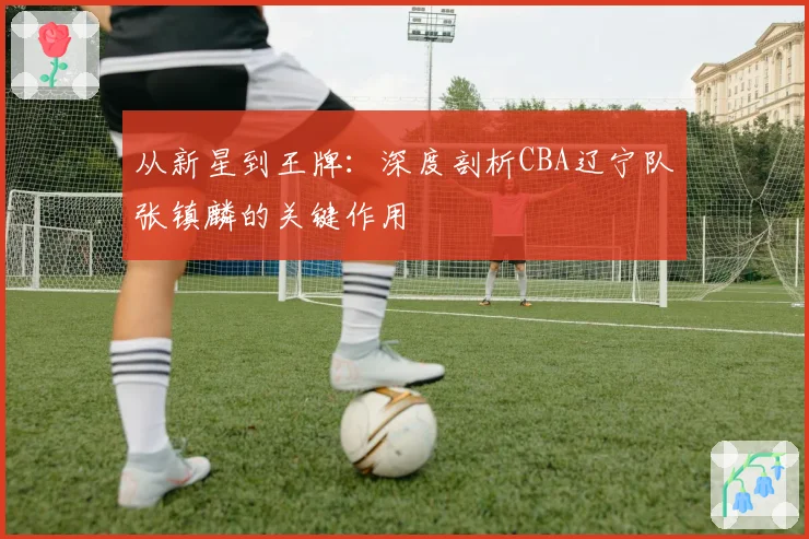 从新星到王牌：深度剖析CBA辽宁队张镇麟的关键作用
