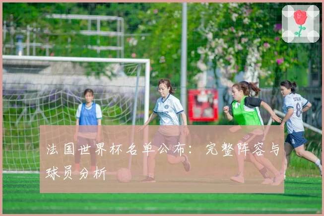 法国世界杯名单公布：完整阵容与球员分析